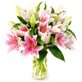Lilies Flower Delivery Japan