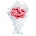 Carnations Delivery Japan