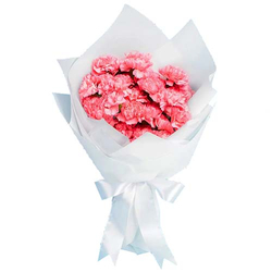 Flower Delivery in Japan Tokyo - Pink Carnations