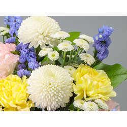 Japan Florist