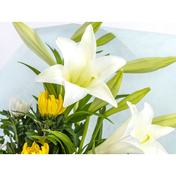 sympathy-flowers-to-japan