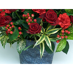 Cheap Flower Delivery Japan