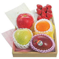 Send Seasonal Fruit Basket Japan