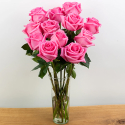 pink rose in japanese