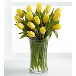 Twelve Yellow Tulips Bouquet Japan
