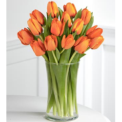 Send 12 Orange Tulips Vase Japan