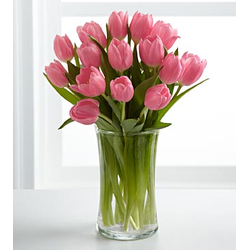 12 Pink Tulips Bouquet - Pink Flowers Japan
