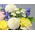 Japan Florist
