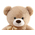 Teddy Bear Delivery Japan