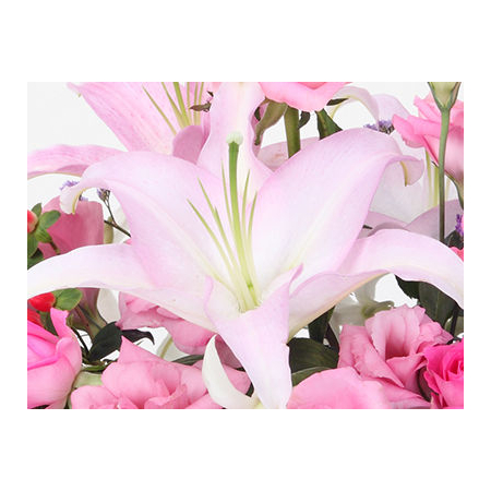 Japan Flower Shop Delivery