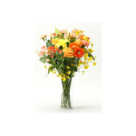 Roses, Gerberas & Carnations Delivery Japan