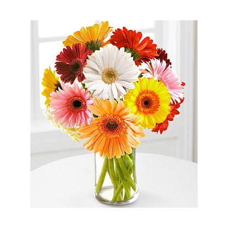 12 Multi-Color Gerbera Daisies Vase - Send Flowers Japan Online